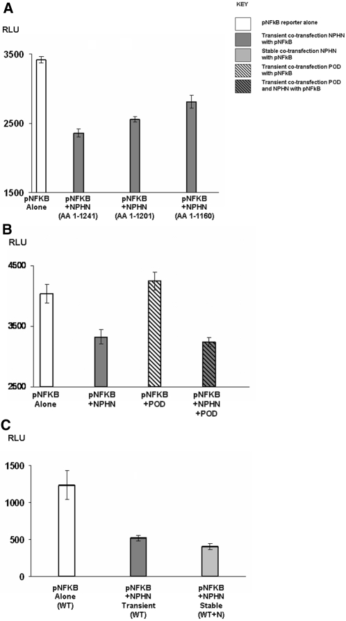 Figure 6.