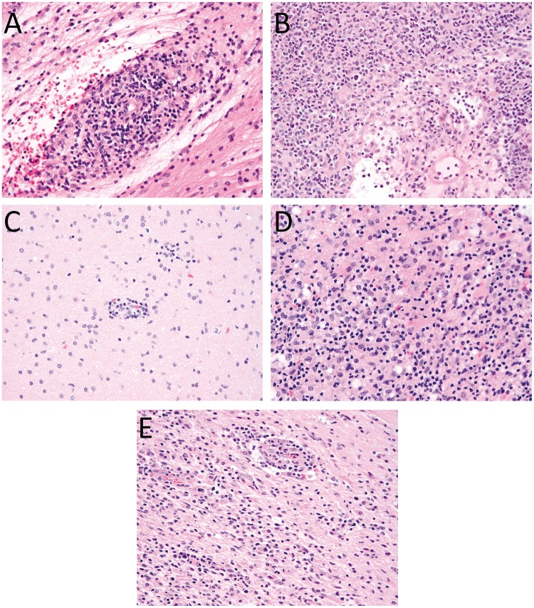 FIGURE 1.