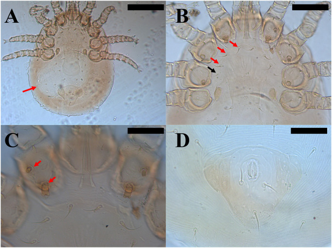 Fig 4