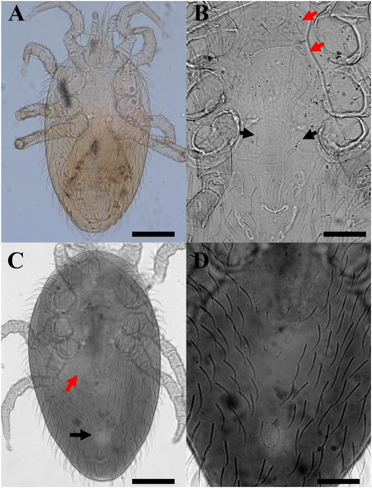 Fig 5