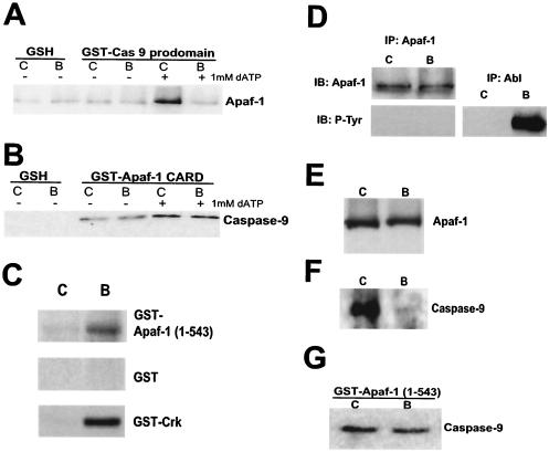 FIG. 7.