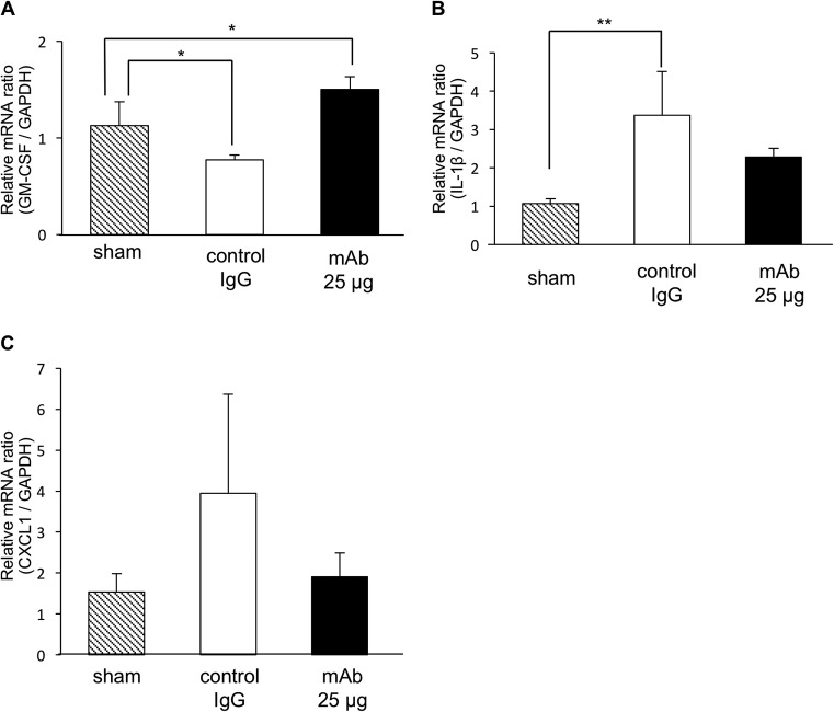 FIG 6