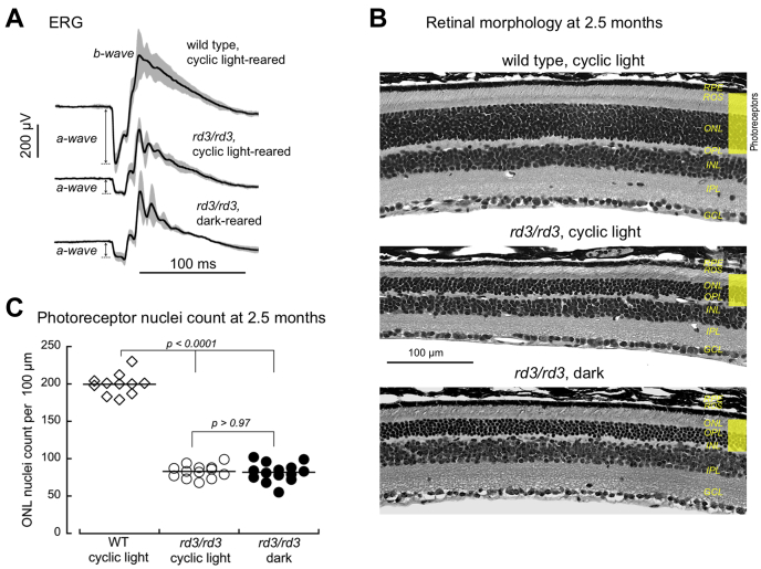 Figure 6