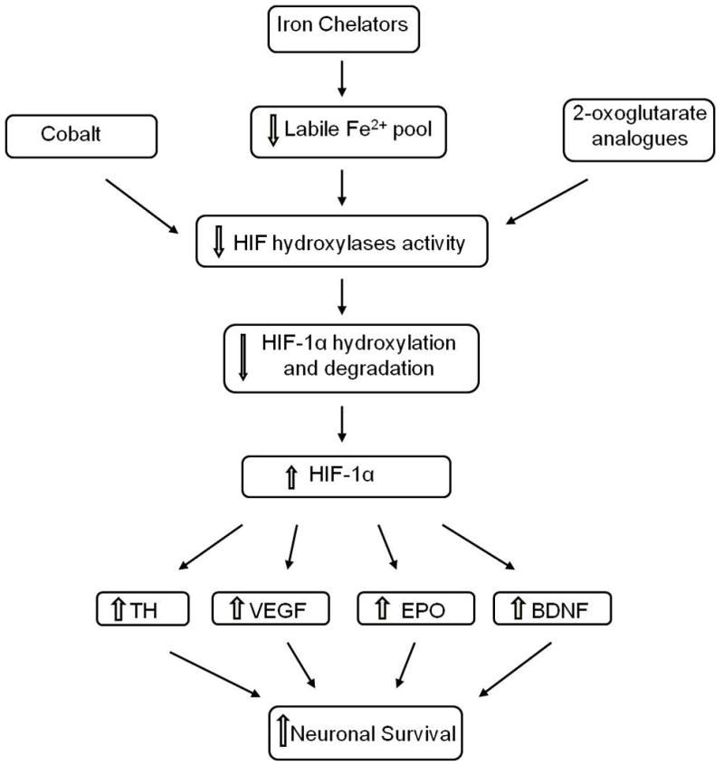 Scheme 2