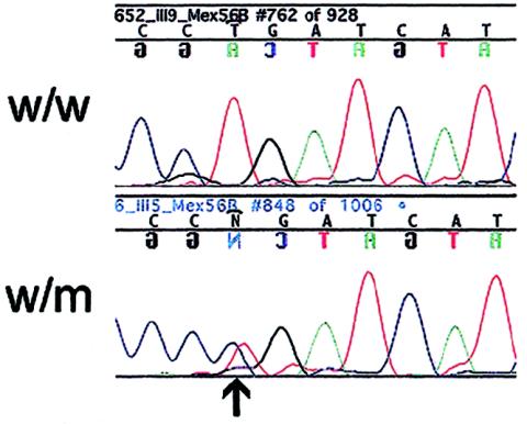 Figure  3