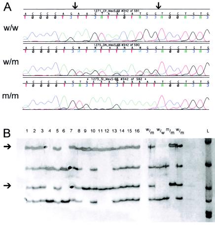 Figure  2