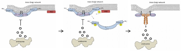 Fig 7