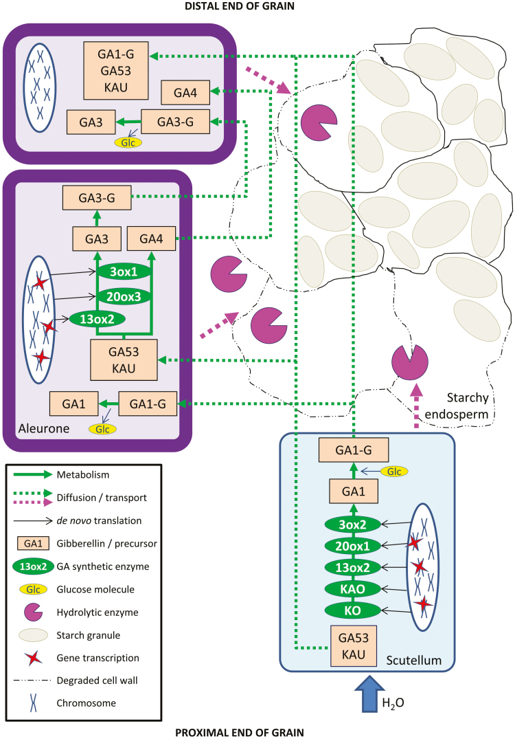 Fig. 7.