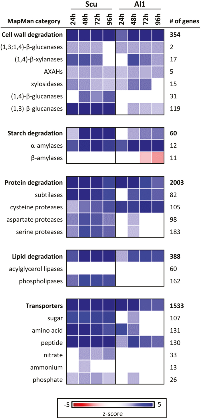 Fig. 3.