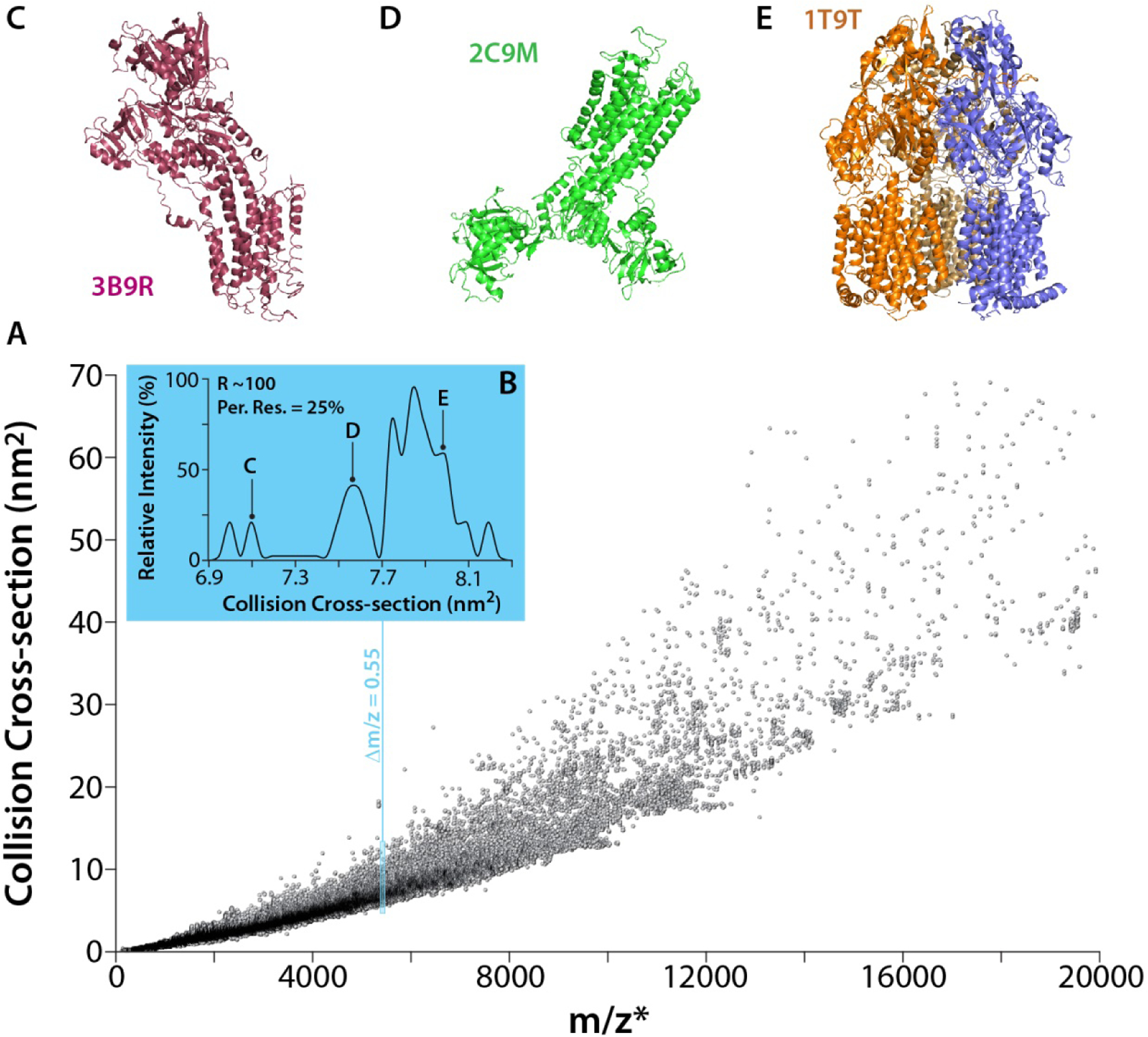 Figure 2.