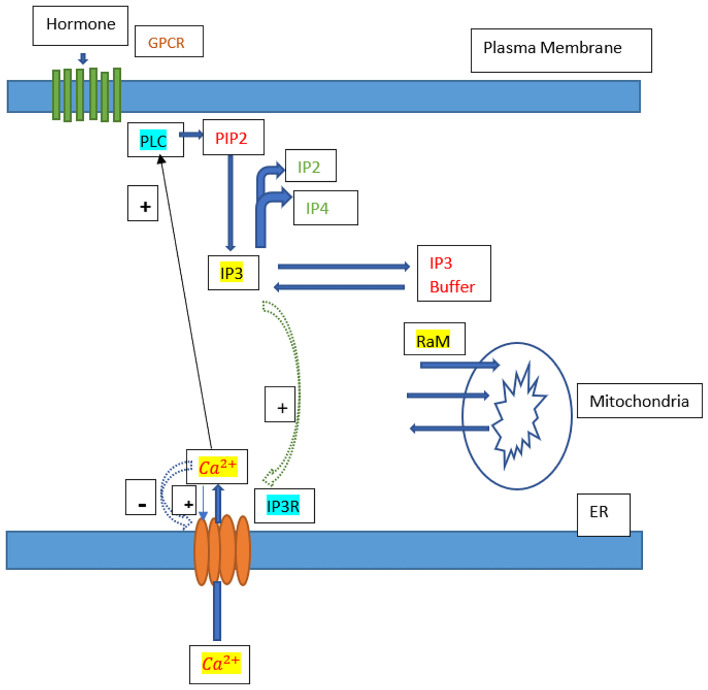 Fig. 1