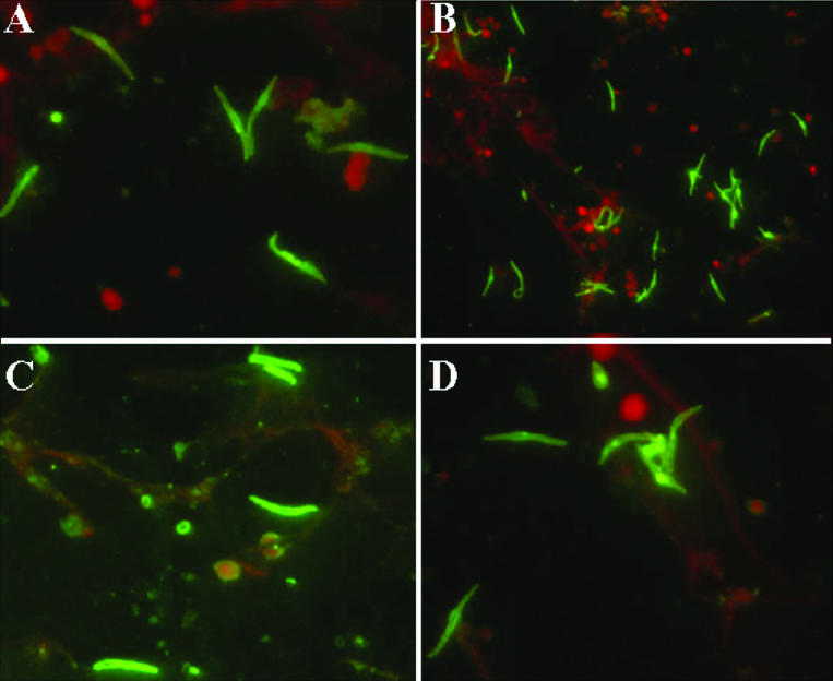 FIG. 9.