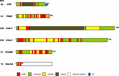 FIG. 10.