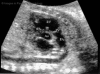 Fig. 8