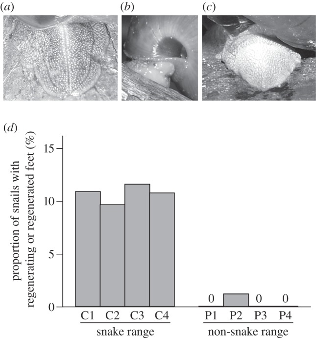 Figure 2.