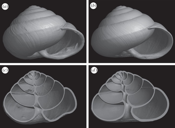 Figure 1.