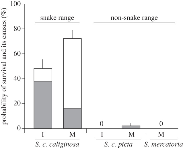 Figure 3.