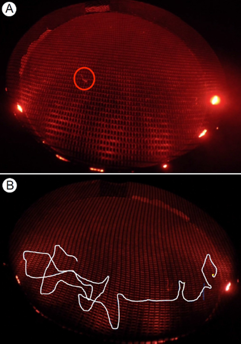 Figure 7