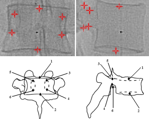 Fig. 1