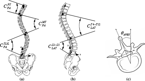 Fig. 5