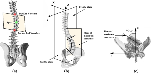 Fig. 6
