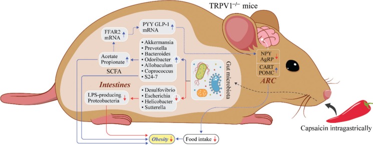 Fig. 7