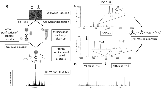 Fig. 2.