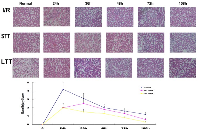 FIGURE 3