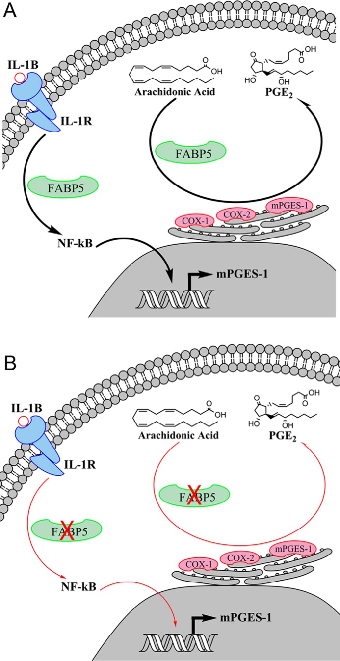 Figure 9.