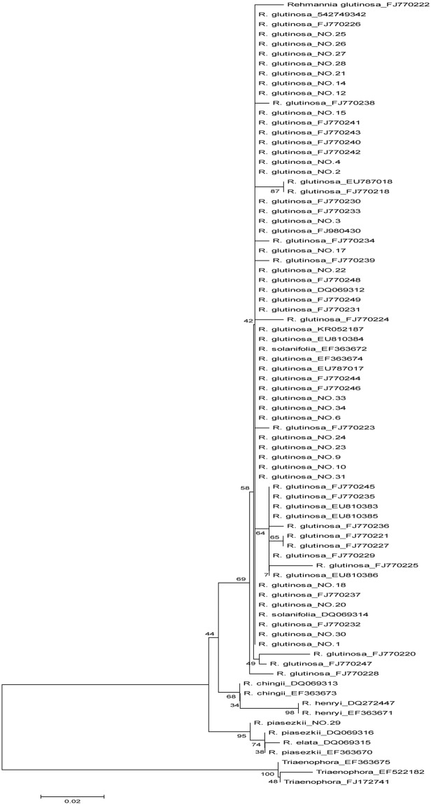 Figure 2