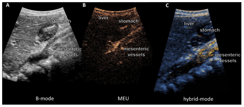 Figure 6