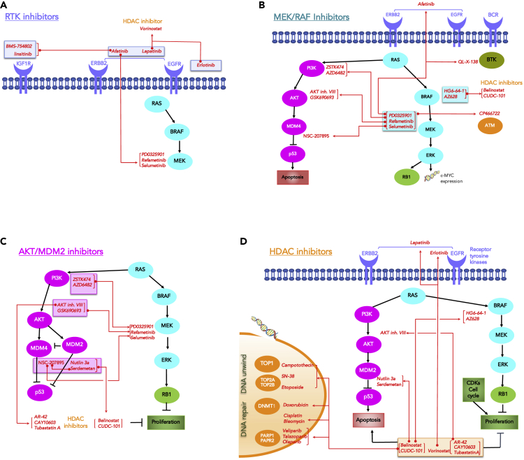 Figure 4