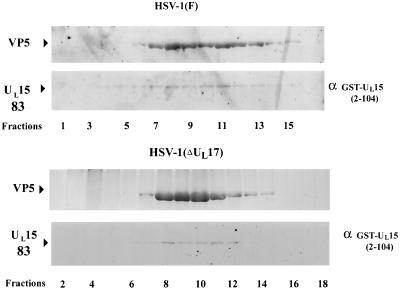 FIG. 8