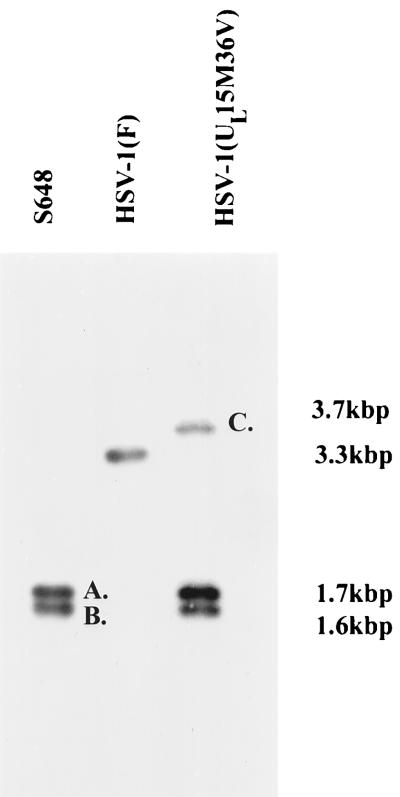 FIG. 10