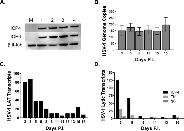 FIG 2