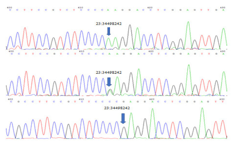 Figure 2