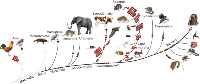 Figure 2.