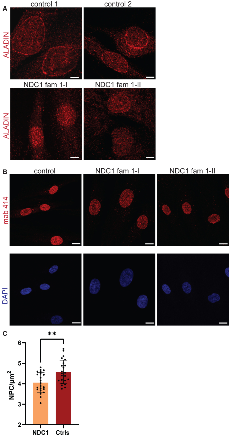 Figure 4