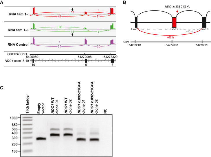 Figure 2