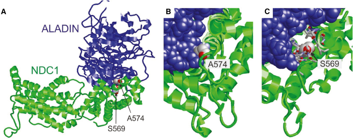 Figure 3