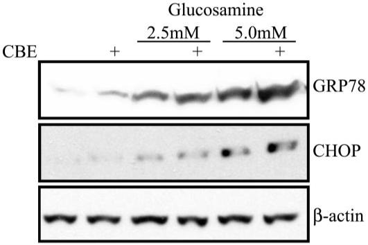 FIG. 5