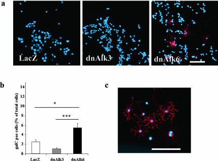 Figure 10.