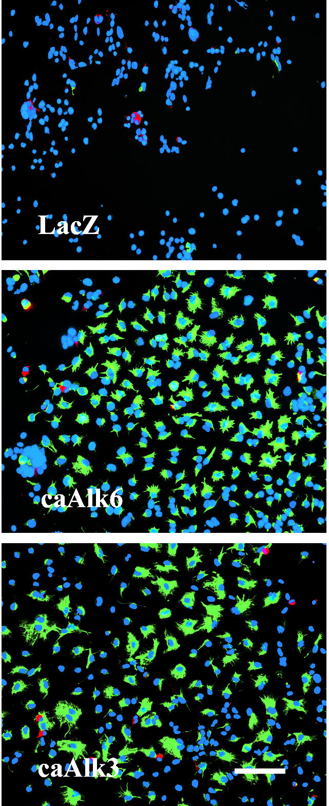 Figure 3.