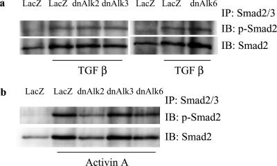 Figure 7.