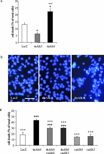 Figure 11.