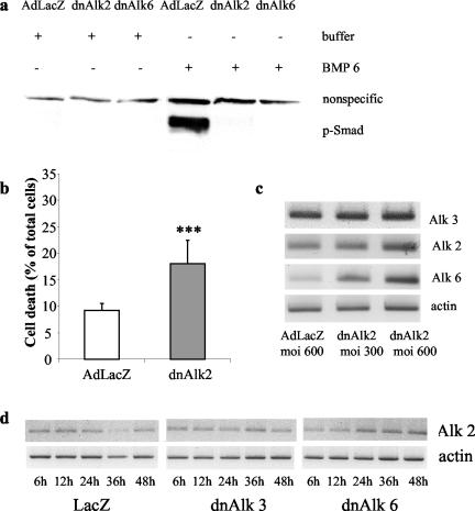 Figure 12.