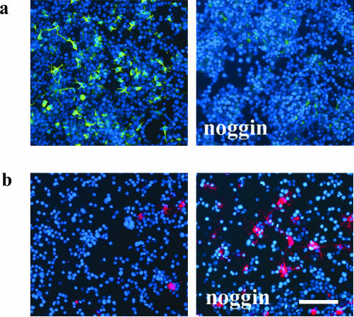 Figure 14.