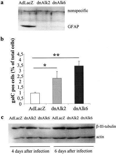 Figure 13.