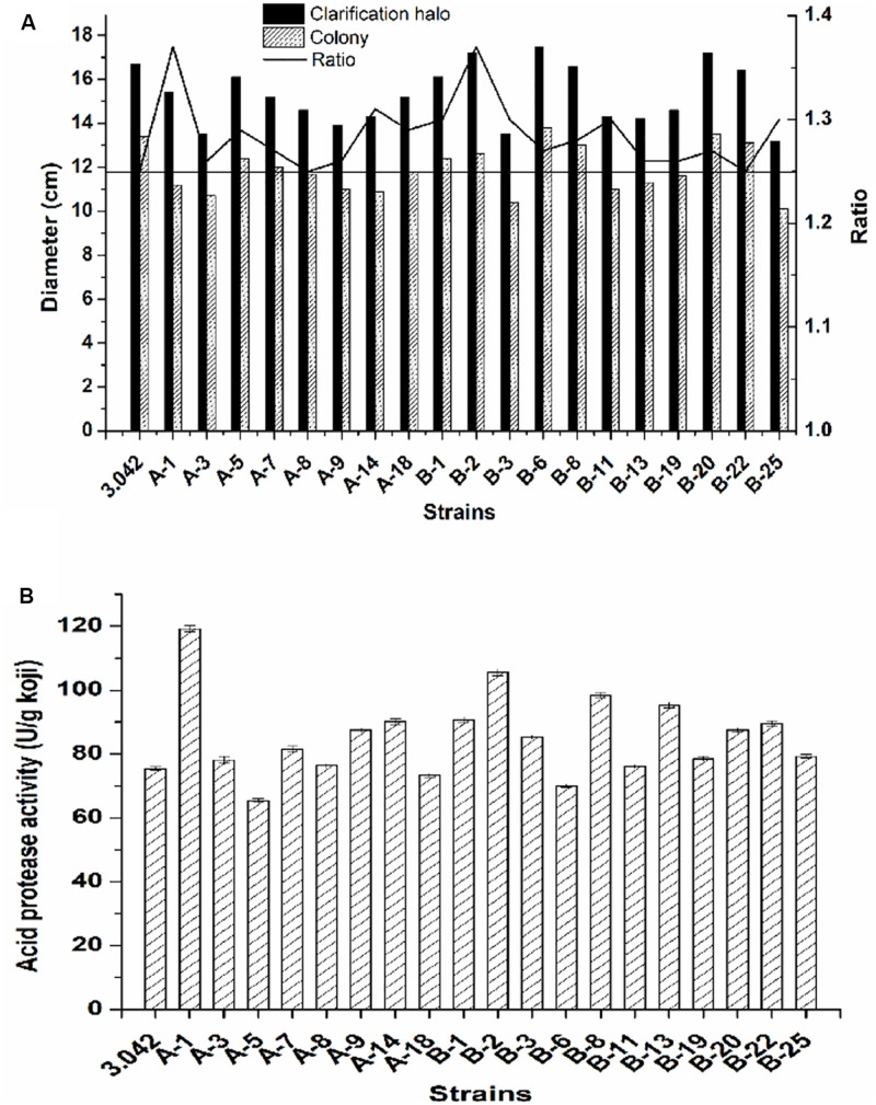 FIGURE 4