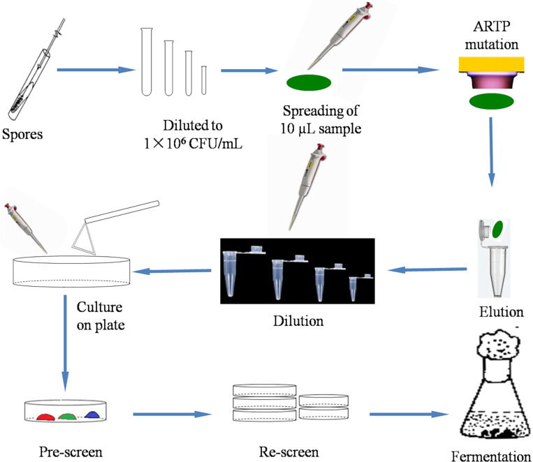 FIGURE 1